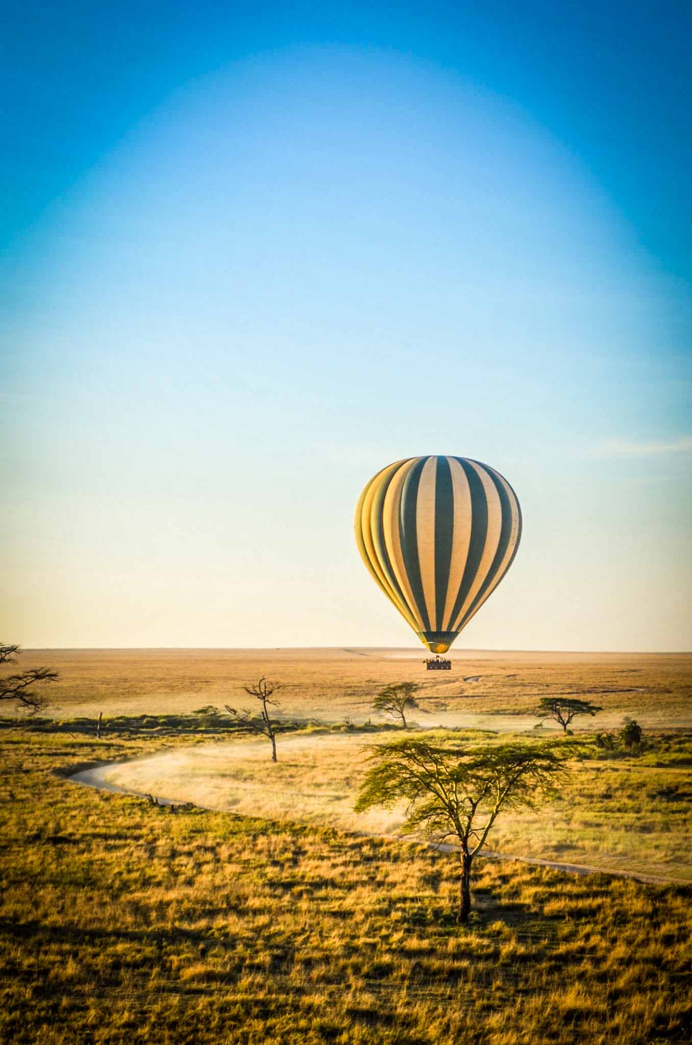 grand Travel Keith Ladzinski Sasaab Elephant