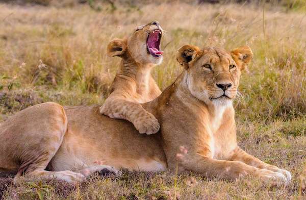 MKOMAZI NATIONAL PARK