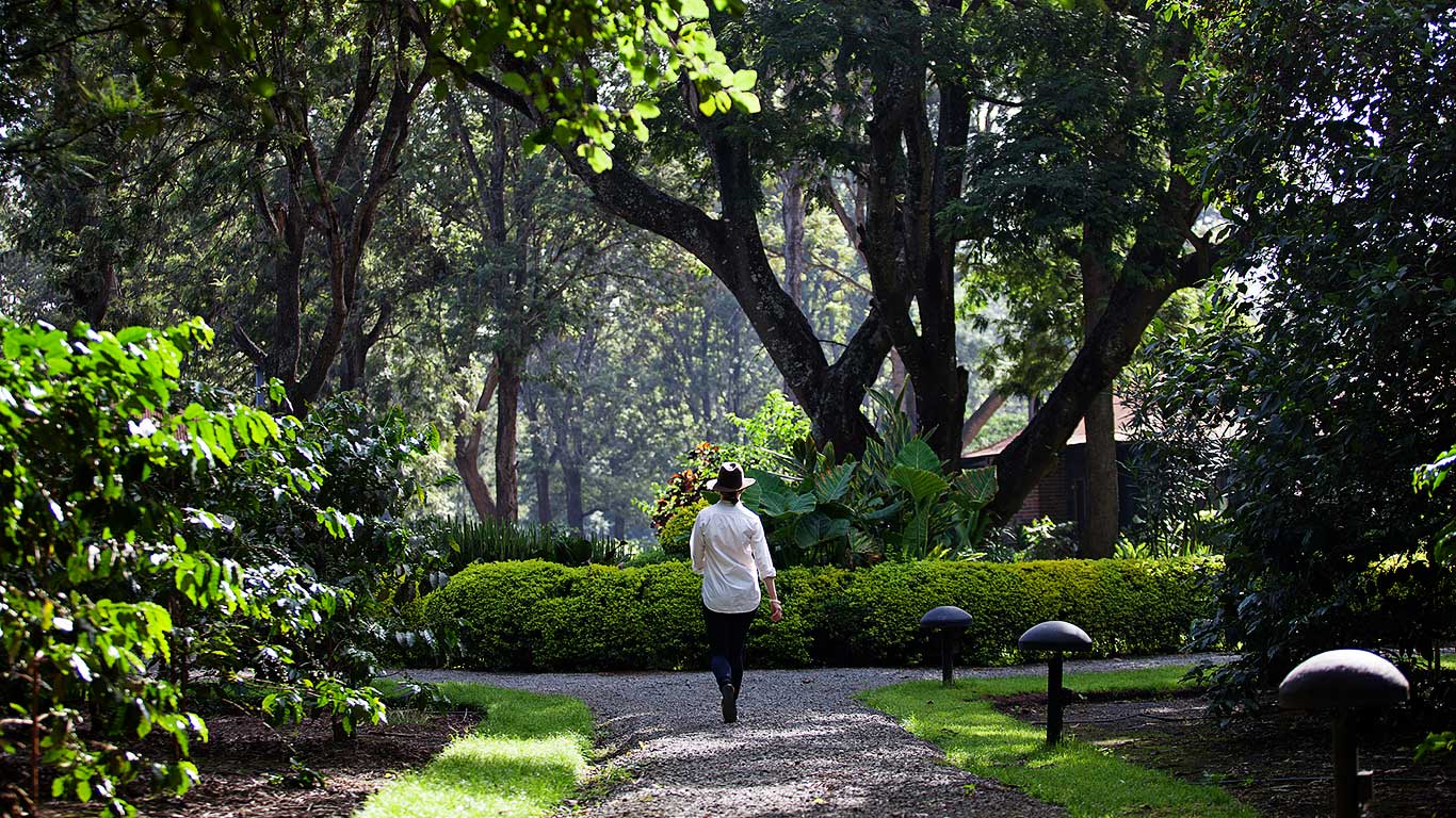 Arusha Coffee Lodge Gallery Image