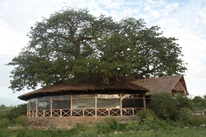 Burudika Manyara Lodge Gallery Image