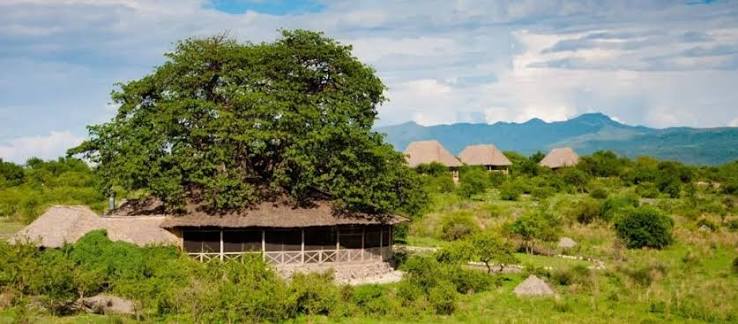 Burudika Manyara Lodge Gallery Image