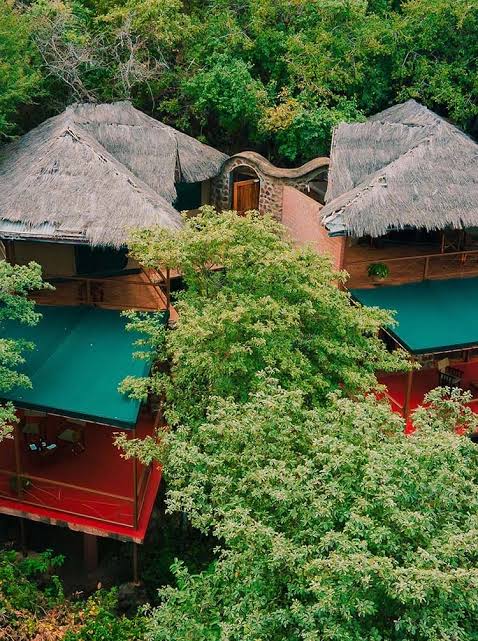 Kirurumu Manyara Lodge Gallery Image