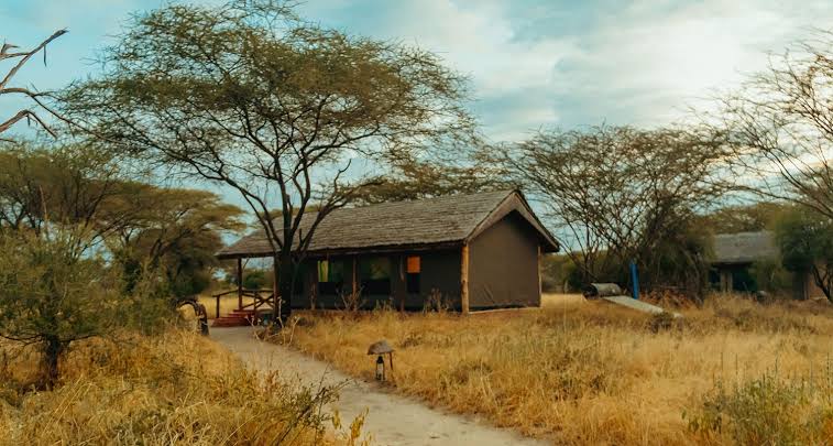 Kirurumu Tarangire Lodge Gallery Image