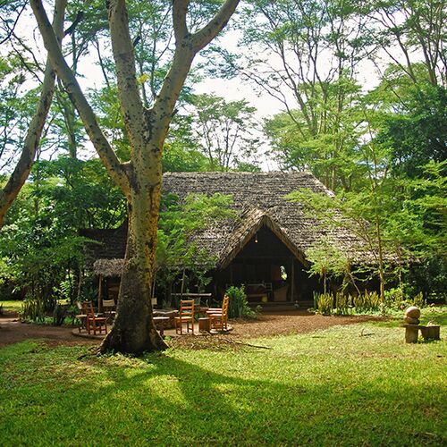 Migunga Tented Camp Gallery Image