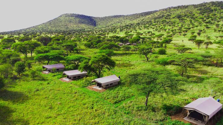 Osupuko Lodge Tarangire Gallery Image
