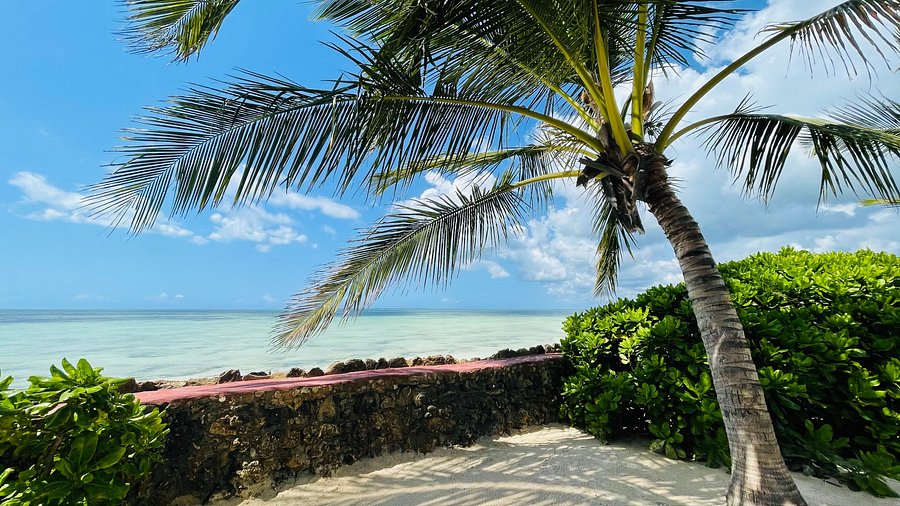 Samaki Lodge & Spa Zanzibar Gallery Image