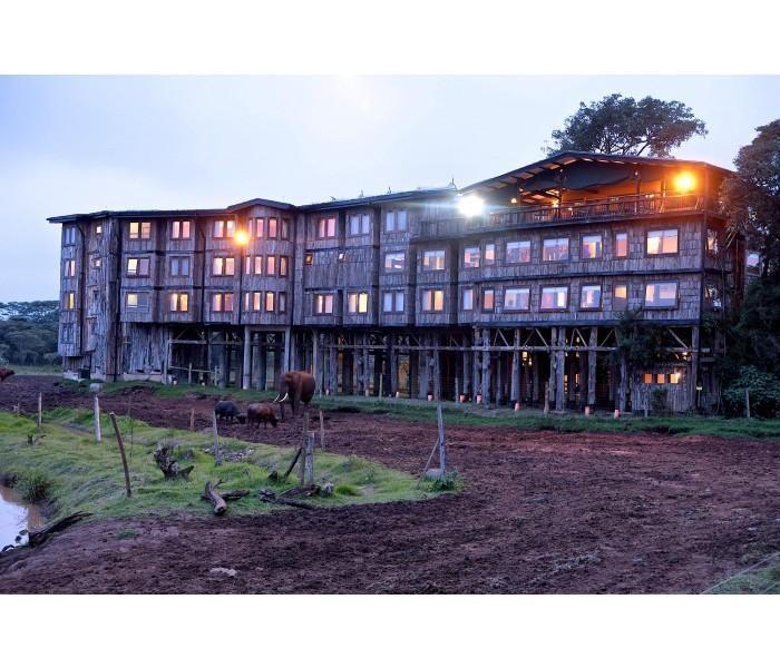 Treetops Lodge