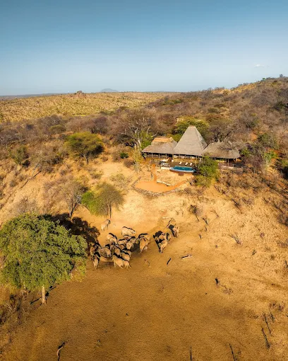 Tarangire TreeTops Gallery Image