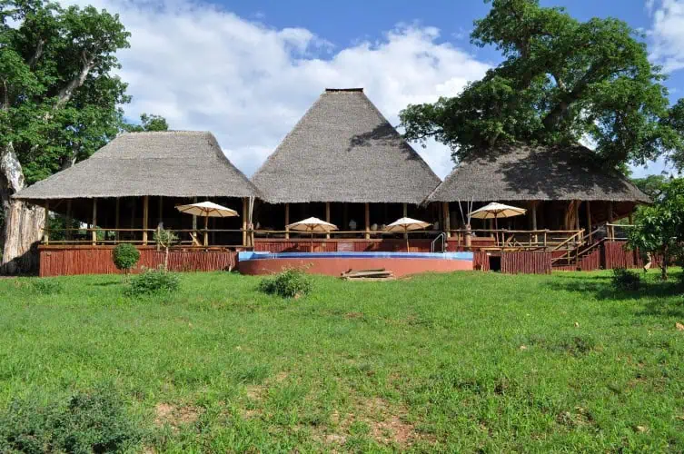 Tarangire TreeTops Gallery Image