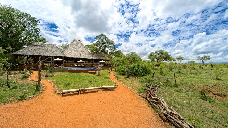 Tarangire TreeTops Gallery Image