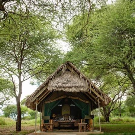 Tarangire Safari Lodge Gallery Image