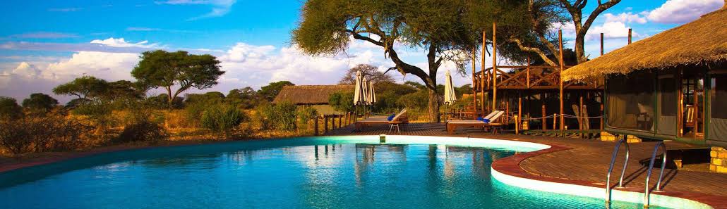 Tarangire Simba Lodge Gallery Image