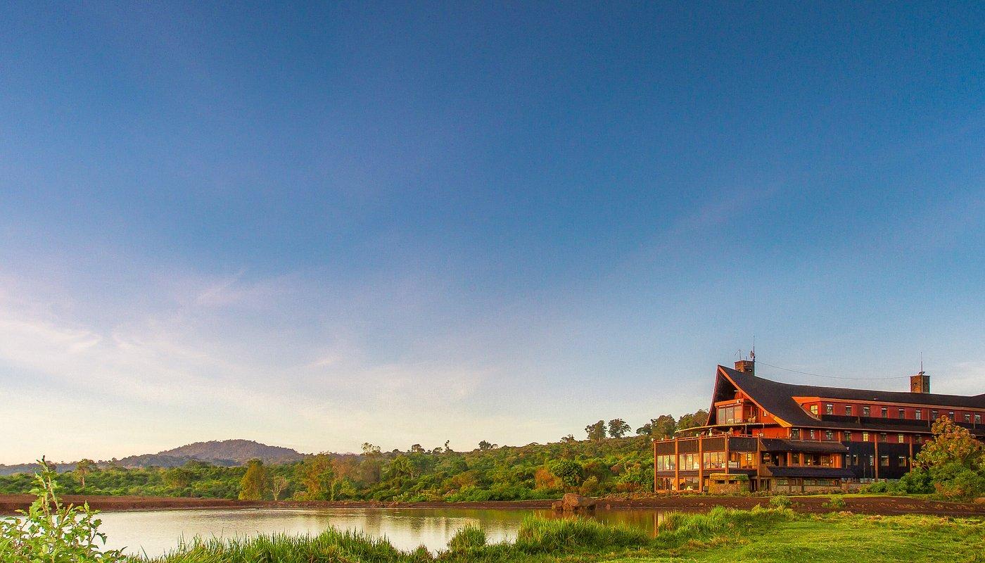 The Ark Lodge