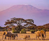 Amboseli National Park