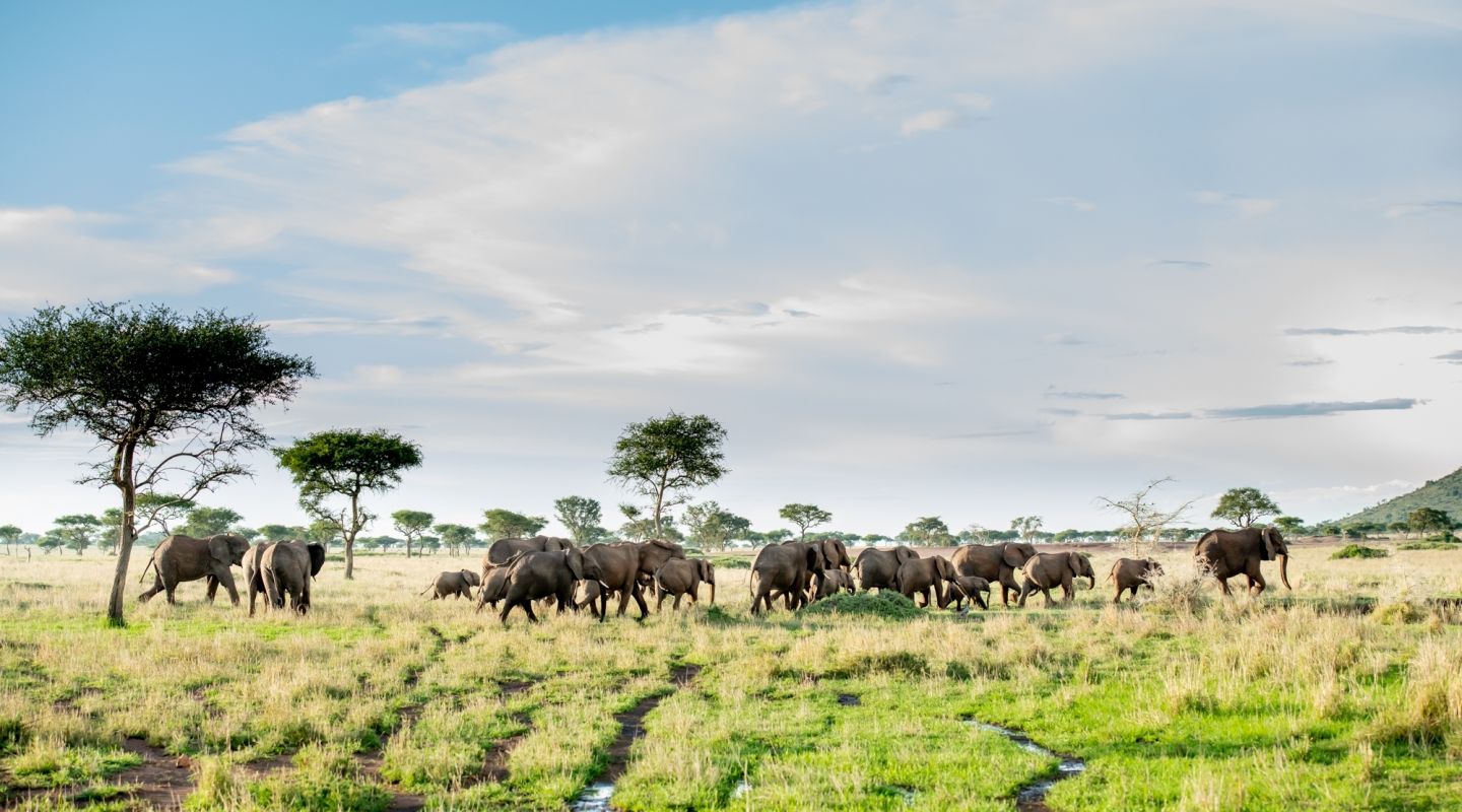 Package Gallery Image