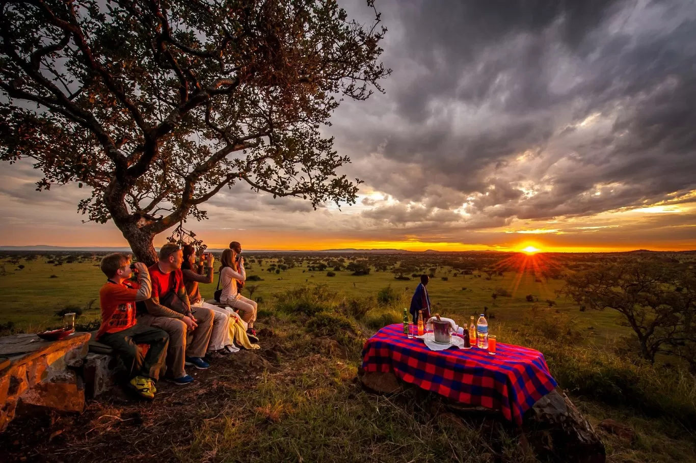   Conservation Safari