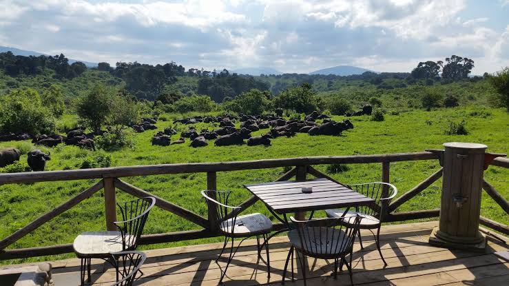 Ngorongoro Rhino lodge