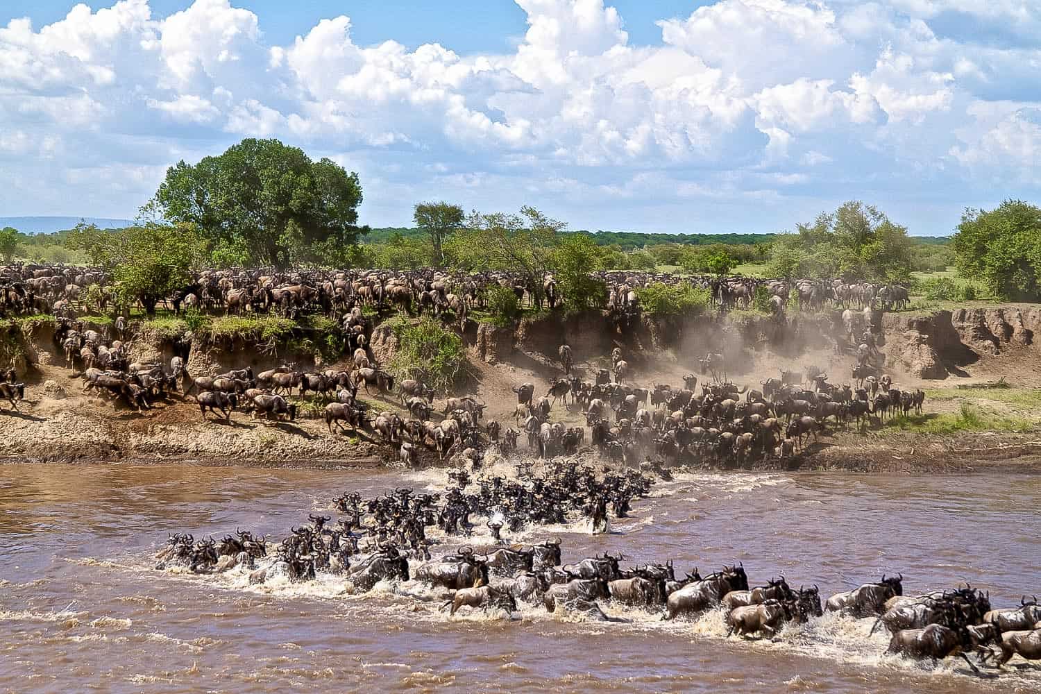 Luxury masai mara exclusive safari