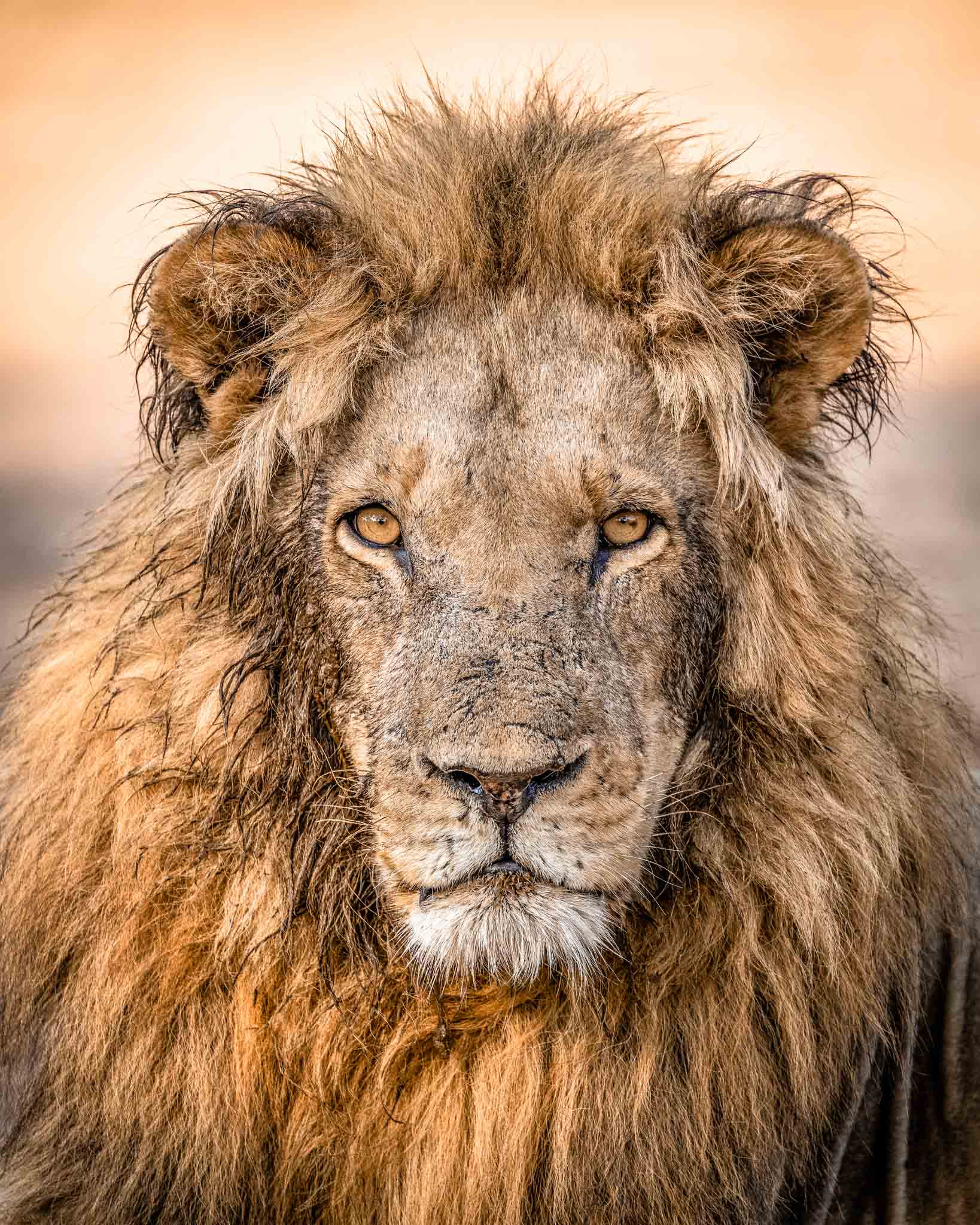 SELOUS GAME RESERVE ( NYERERE NATIONAL PARK )