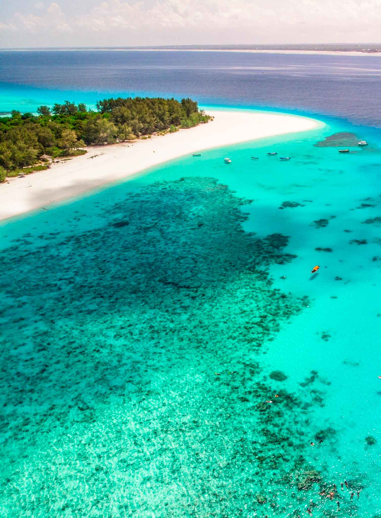 Package Gallery Image