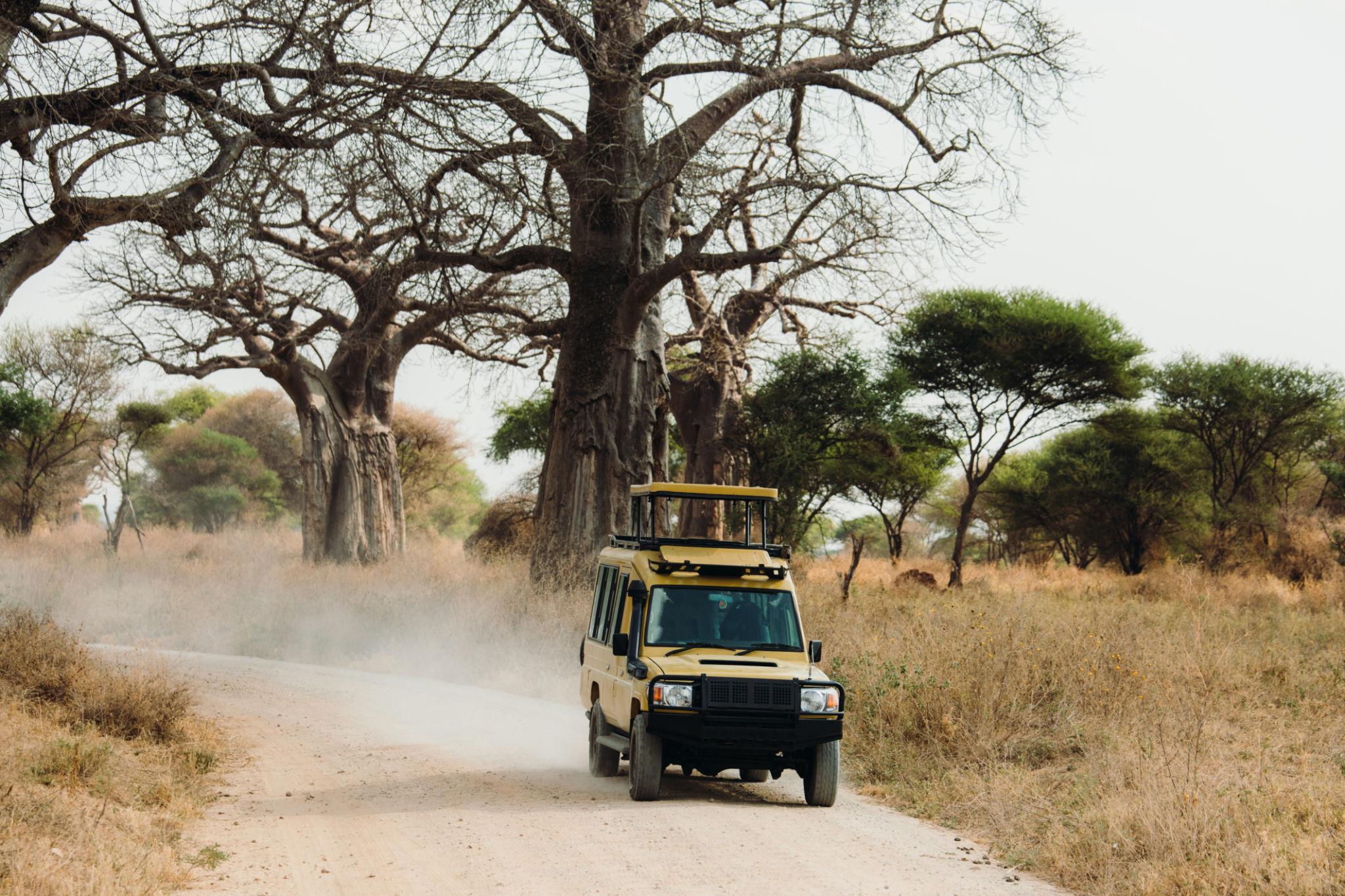 Package Gallery Image