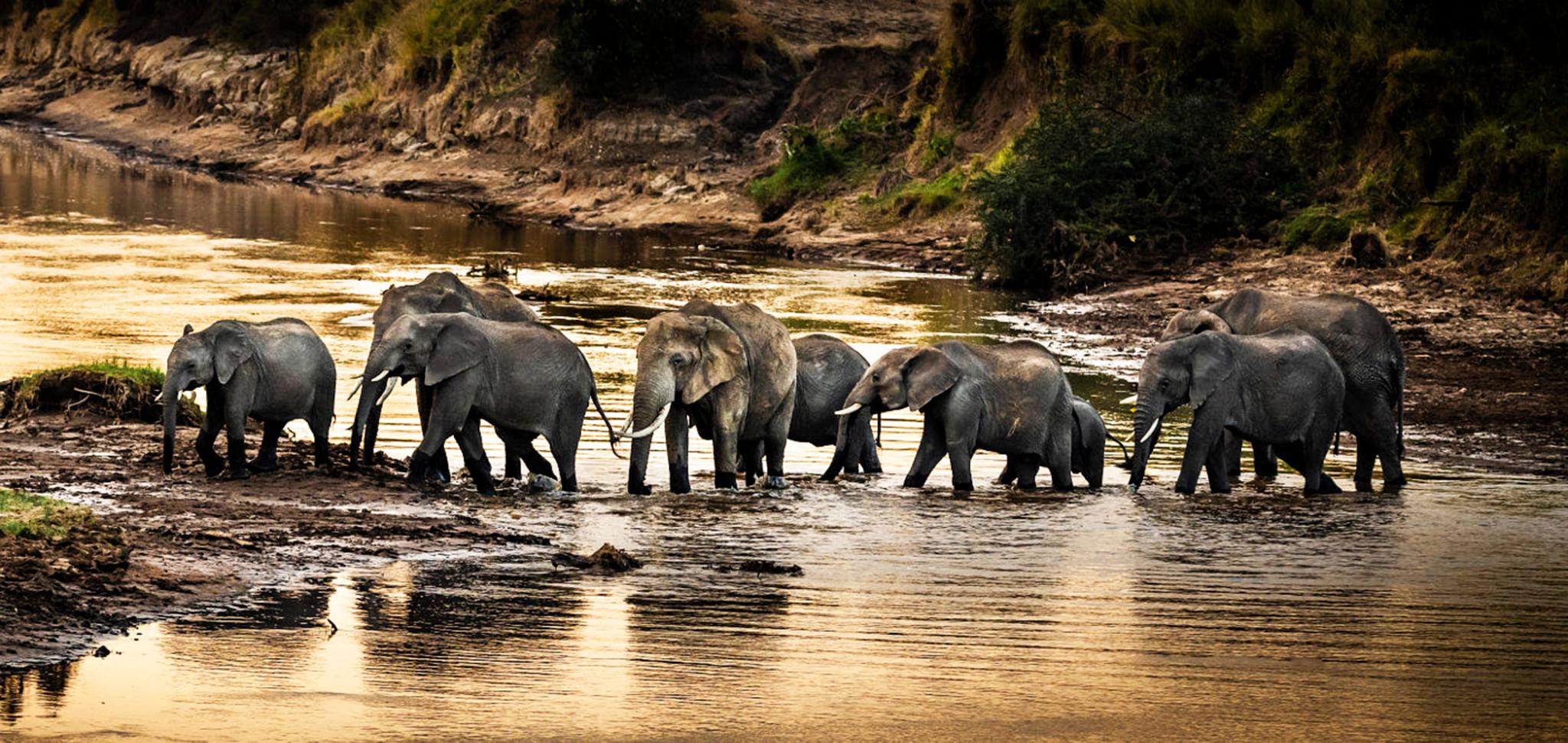 Package Gallery Image