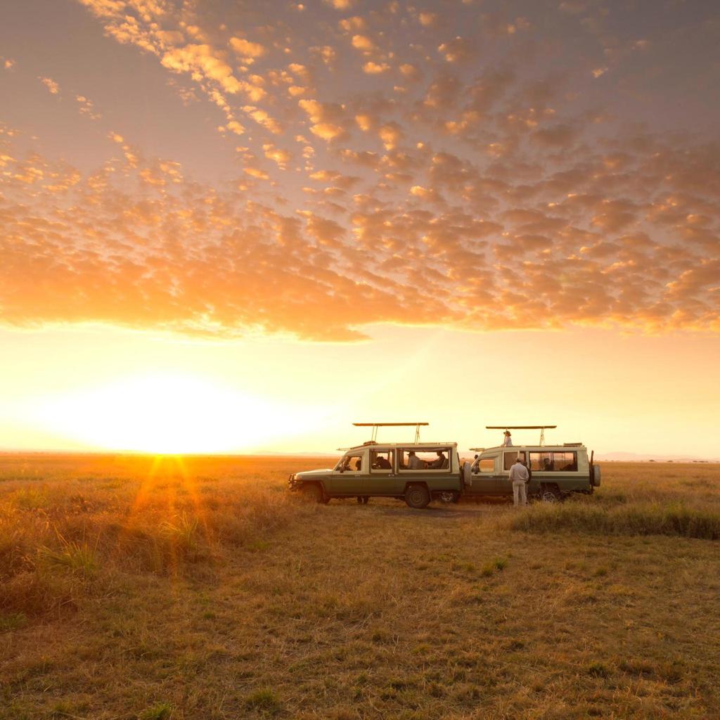 Package Gallery Image