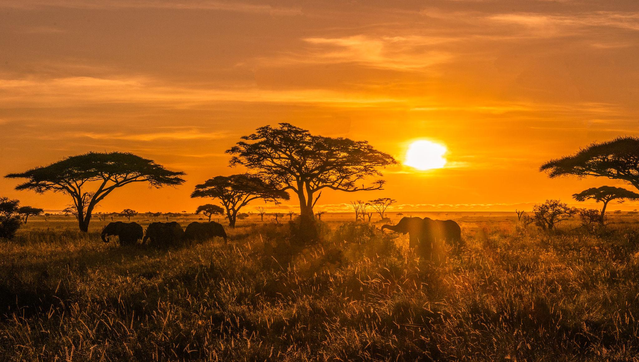 Package Gallery Image