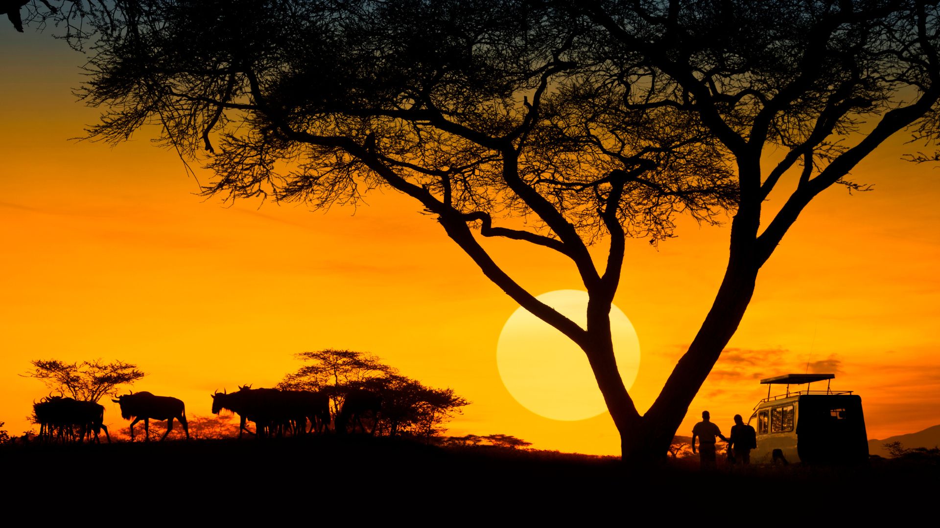 6 Days Tanzania safari adventure of a lifetime