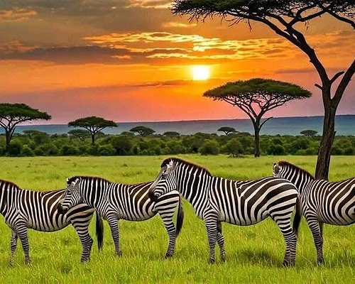 Tanzania grand safari & Zanzibar ocean retreat