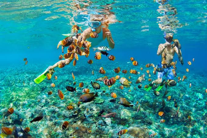  5 Day Zanzibar Matemwe Tour