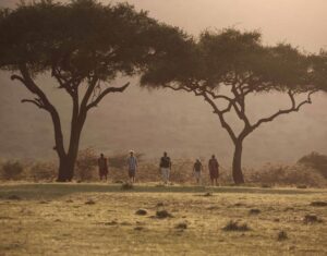 Walking safari in Africa with a guide and ranger leading guests across the savannah