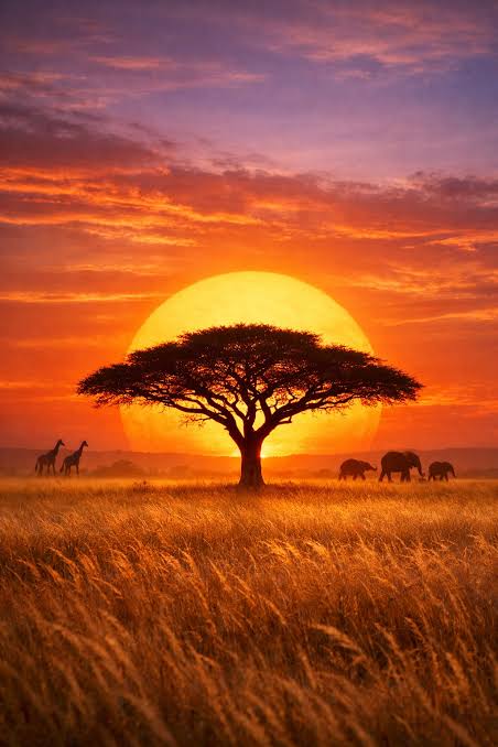 7-Day Tanzania Safari & Cultural Tour